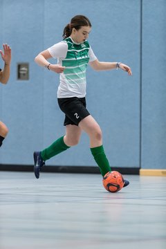 Bild 253 - F Loewinnen Hallen Cup